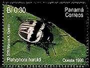 1998 : Coleoptera Chrysomelidae (Y & T : xxx) (Scott :