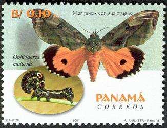 2001 : Lepidoptera y larvas (Y & T : xxx) (Scott : 905-908)