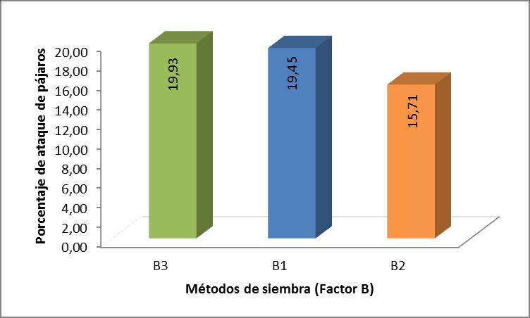 45 CUADRO 15. PRUEBA DE TUKEY AL 5% PARA EL ATAQUE DE PÁJAROS EN LOS MÉTODOS DE SIEMBRA (FACTOR B).