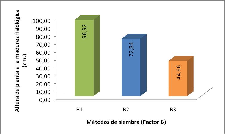 58 CUADRO 28. PRUEBA DE TUKEY AL 5% PARA LA ALTURA DE PLANTA A LA MADUREZ FISIOLÓGICA EN LOS MÉTODOS DE SIEMBRA (FACTOR B).