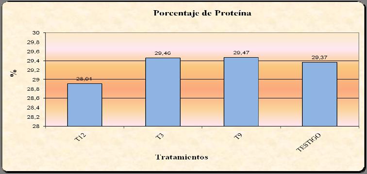 Gráfica 8: Análisis de Proteína En la gráfica obtenida con los resultados del análisis de la variable proteína podemos ver que el tratamiento T9 que son las galletas elaboradas con 50% de harina de