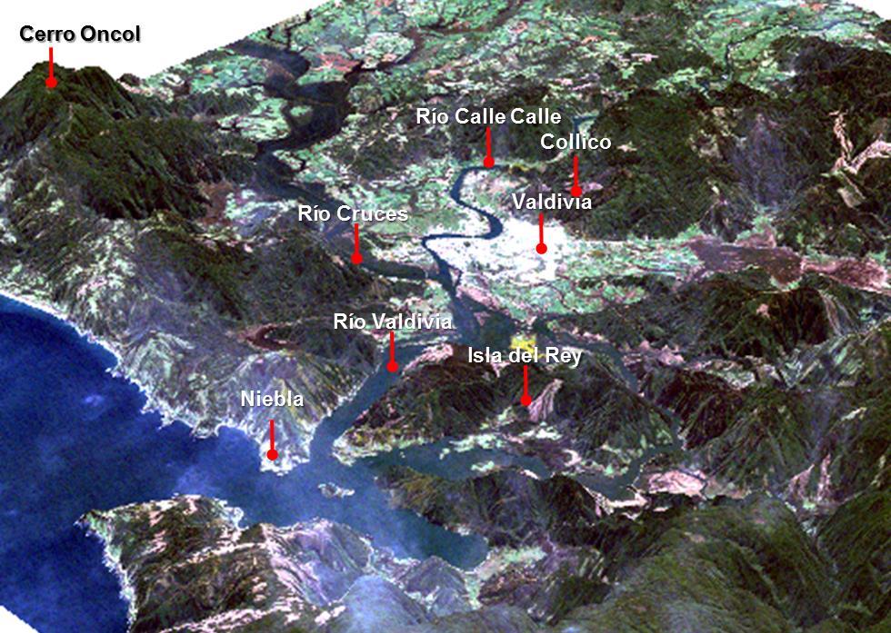 de la contaminación atmosférica. La costa (bahía de Corral) se encuentra a 15 Km de la ciudad (ver Figura 4).