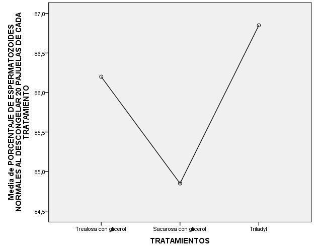 GRÁFICO 3. Medias de espermatozoides normales. Gráfico N 3.- Representación lineal de las medias de la variable ESPERMATOZOIDES normales/anormales. Tratamiento A.
