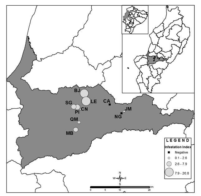 61 Figura 2. Mapa de Portoviejo, Provincia de Manabí, indicando las localidades de infestación (círculos), las mismas donde se realizaron colectas de P. howardi.