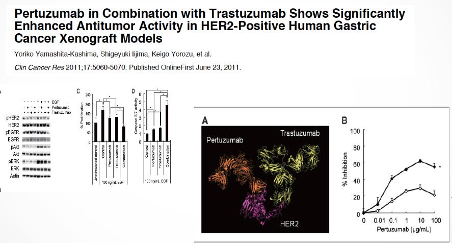 QT-Tratuzumab-Pertuzumab 1ª línea