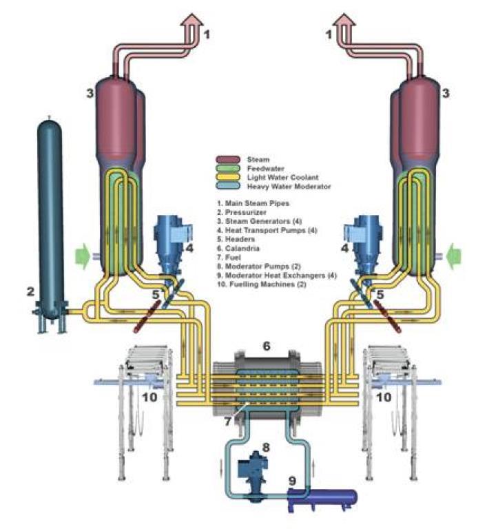 El reactor CANDU Avanzado (ACR-1000) Usa agua ligera como refrigerante Usa agua pesada como