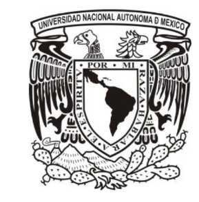 UNIVERSIDAD NACIONAL AUTÓNOMA DE MÉXICO FACULTAD DE INGENIERÍA DIVISIÓN DE INGENIERÍA EN CIENCIAS DE LA TIERRA