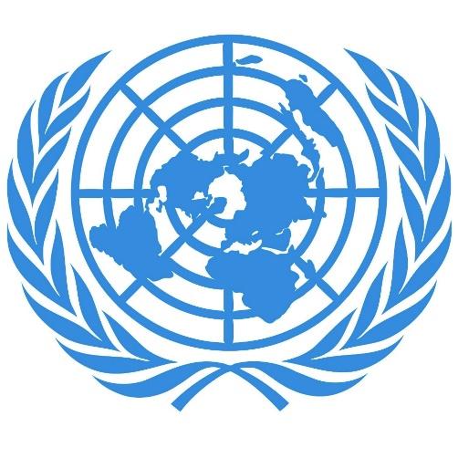 III. ONU Organización de Naciones Unidas Las Naciones Unidas son una organización de Estados soberanos.