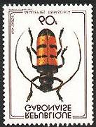 Coleoptera : Cerambycidae :