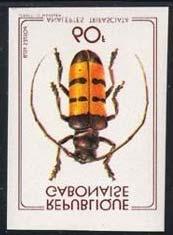 Coleoptera : Cerambycidae : Sternotomis