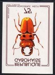 Coleoptera : Cerambycidae : Analeptes