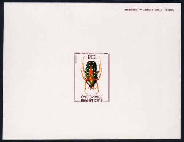 Coleoptera : Scarabaeidae :