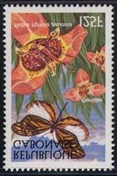 1997 Agosto 11 : Insectos y flores (4