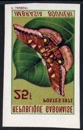 Lepidoptera : Nymphalidae : Euxanthe