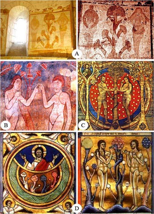 26 Revista Catalana de Micologia, vol. 35: 3-41; 2014. Fig. 7. A. Detall del fresc de la capella de Plaincourault (1291); Indre. B.