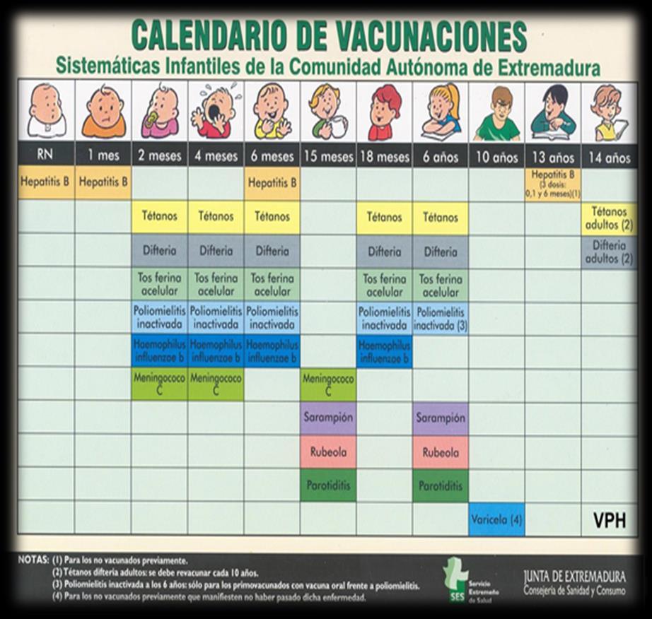 5. Revisión del estado de vacunación de acuerdo con el esquema vigente 6.