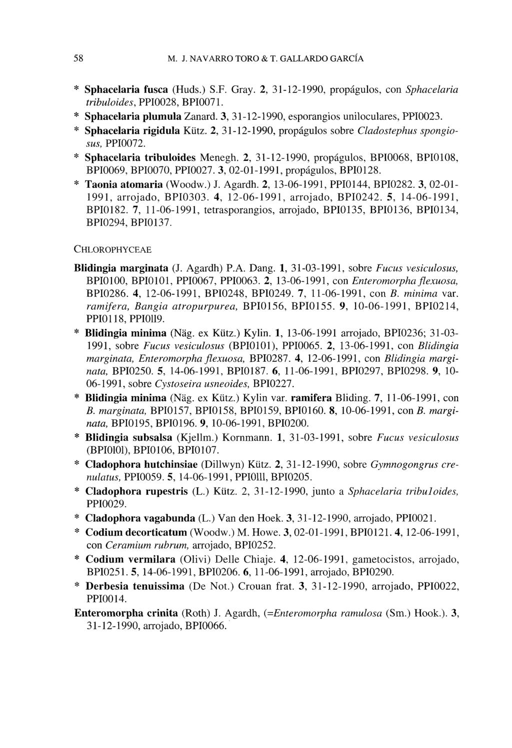 58 M. J. NAVARRO TORO & T. GALLARDO GARCÍA * Sphacelaria fusca (Huds.) S.F. Gray. 2, 31-12-1990, propágulos, con Sphacelaria tribuloides,m002&,epi0<m. * Sphacelaria plumilla Zanard.