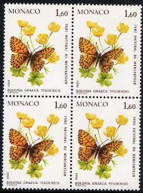 Lepidoptera : Papilionidae : Parnassius