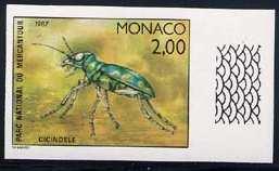 Coleoptera : Carabidae :