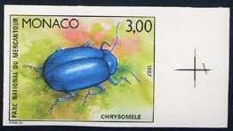 Coleoptera : Cicindelidae