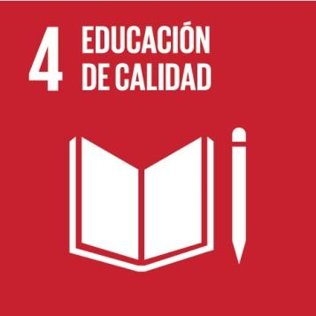 Objetivo 4: Garantizar una educación inclusiva, equitativa y de calidad y promover oportunidades de aprendizaje durante toda la vida para todos Principales indicadores de Chile al año 2015 4.3.