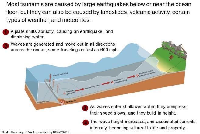 7 Características de un Tsunami Los tsunamis son una serie de olas mucho más peligrosas que las olas del viento y pueden ser generadas por un terremoto, erupción volcánica, deslizamiento (aéreo o