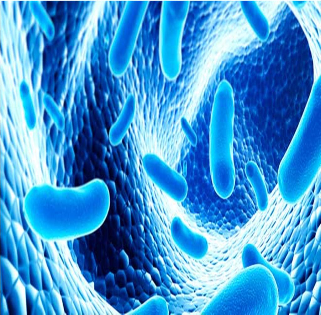 Probióticos y zinc Sin cambios en frecuencia de número de evacuaciones con probióticos Resultados