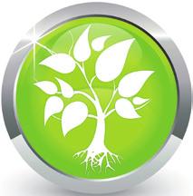 cartón) Eco-responsables Fabricación de los productos CARLY bajo control de las energías, de los