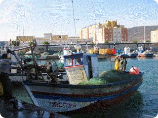 En cuanto al número de embarcaciones registradas, el puerto de La Línea es el cuarto puerto de la provincia de Cádiz