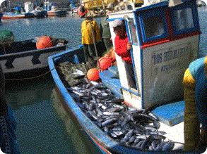 Buques Oferentes y Compradores en origen En 2014, 65 barcos vendieron sus capturas en esta lonja. Se trata de una flota artesanal dedicada principalmente a la captura de moluscos mediante rastros.