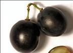 de galoilación Taninos duros, secos y astringentes Taninos de uva Extracción de taninos de piel: 26% 34% de los taninos de la uva extraídos en el vino Extracción de taninos