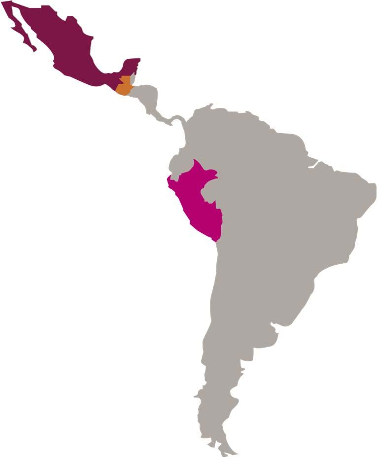 Nuestra operación* Presencia en Guatemala, México y