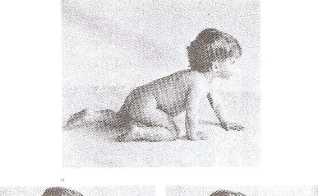 6 La siguiente secuencia muestra un niño de 14 meses levantándose.