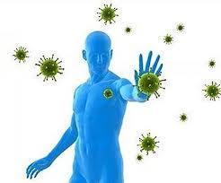 Cuál es el rol biológico del Sistema Inmune?