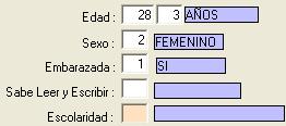 12. Sexo: Campo donde se ingresa el género del afectado. El campo de sexo está estructurado de la siguiente forma: 1- MASCULINO 2- FEMENINO 9-(N.E.) 13.