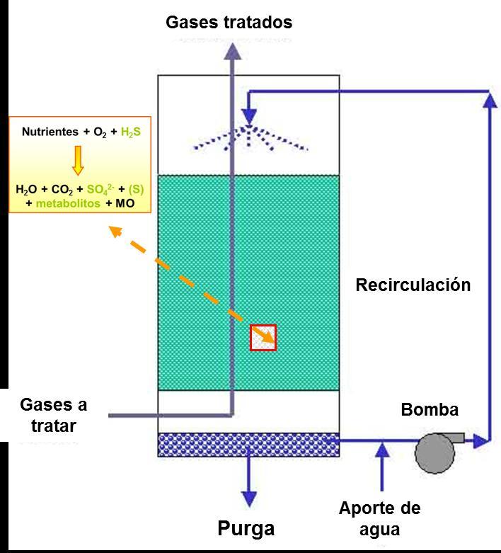 EQUIPOS DE CONTROL DE EMISIONES DE GASES sta Biotrickling Soporte inorgánico- plástico, lava rock,.