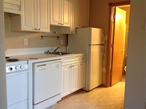 El apartamento incluye una cocina, lavaplatos, estufa electronica, microondas y nevera.