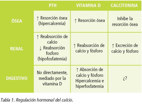 Acción de las hormonas que regulan el calcio. Tomado de clase de Fisiopatología del 2013.