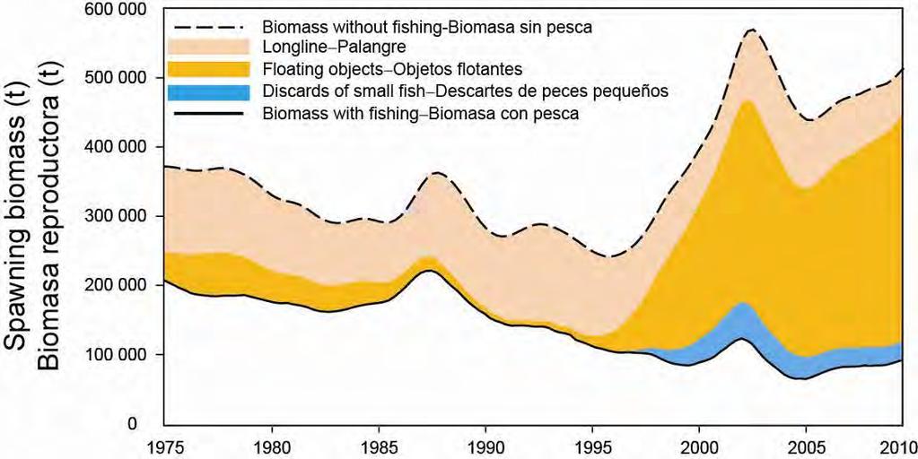 FIGURE D-5. Trajectory of the spawning biomass of a simulated population of bigeye tuna that was not exploited (dashed line) and that predicted by the stock assessment model (solid line).