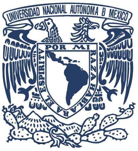 UNIVERSIDAD NACIONAL AUTÓNOMA DE MÉXICO FACULTAD DE QUÍMICA DEPARTAMENTO DE