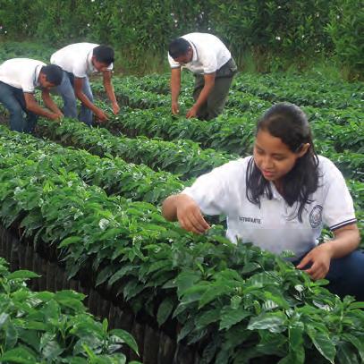 El programa del premio mejor proyecto sostenible 2017 por la Specialty Coffee Association -SCA- es avalado por El Ministerio de Educación y Certificado por Anacafé Donación Q.