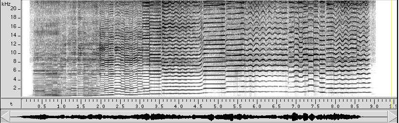 Espectrogramas: Banda ancha Bloques cortos