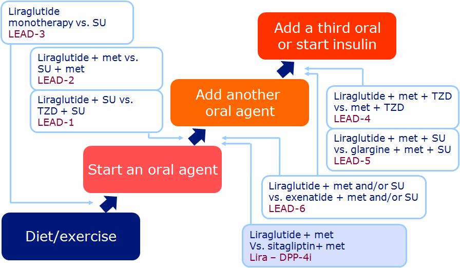 LEAD: Liraglutide Effect and Action in Diabetes LEAD: Liraglutide Effect and Action in Diabetes. Marre et al. Diabetic Medicine 2009;26;268 78 (LEAD 1); Nauck et al.