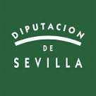 Programa Asistencia Técnica Marco de Competencias Provinciales en Asistencia Técnica a los municipios encomendadas a Sevilla Activa SAU por la de Sevilla Actuaciones realizadas Direcciones de Obra