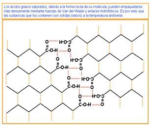 Los ácidos grasos saturados, debido a la forma recta de su molécula, pueden empaquetarse más densamente mediante fuerzas