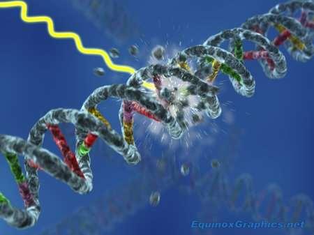 Qué pasa si ocurre una mutación en un gen?