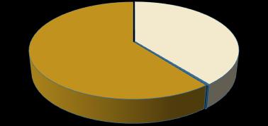 Gráfico 4: Volumen negociado en la BDVN por puesto de bolsa (Porcentaje) Puestos de Bolsa 60.4% Bancos 39.3% Com pañías de seguro 0.2% 1.