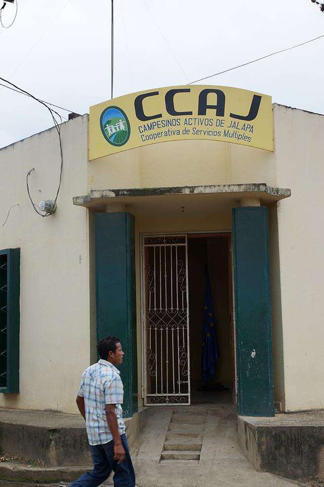 Maíz en Nicaragua Cadena piloto CCAJ - Café Soluble País Nicaragua Jalapa Beneficiarios 430 socios (292 hombres, 138 mujeres) adopción de BPM para mejorar la calidad mejorar productividad y paquetes