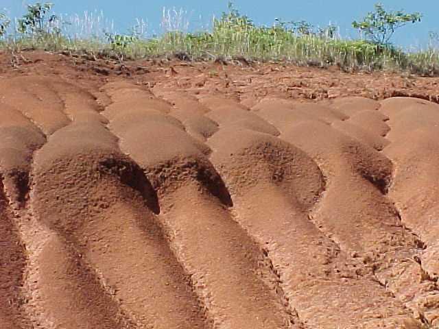 Erosión Ocurre cuando el suelo queda expuesto a las inclemencias del tiempo y las partículas del suelo se mueven a otro lugar; pueden llegar a los