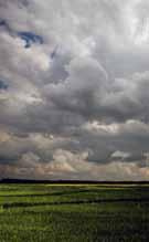 Al formarse las nubes de tormenta se produce una polarización de las cargas La parte baja de las nubes queda cargada negativamente induciendo una carga positiva en la tierra y los